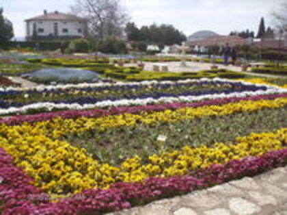Balcic, the heaven of tulips - Bulgaria 2008