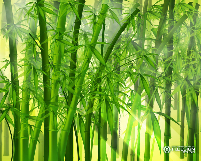 bamboo_1280x1024