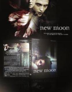 New_Moon_1233668103_2009