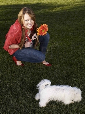 Miley Cyrus Photoshoot 003 (2)