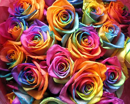 Very colours rosses