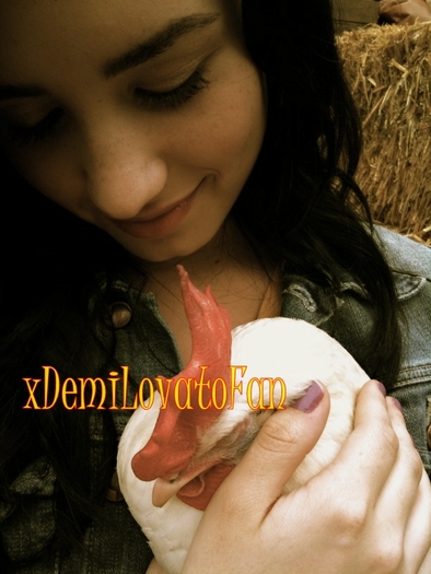 x Demi (11) - x Demi Lovato