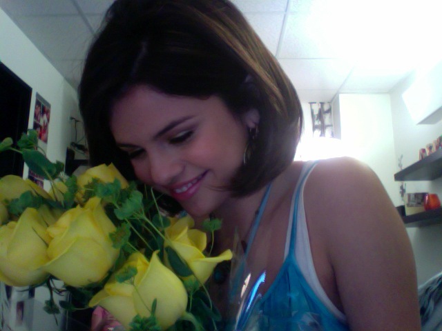 i and yellow flowers