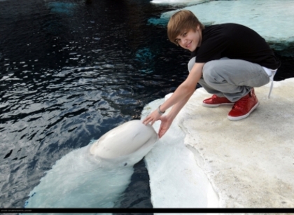 Justin Bieber in Seaworld (4)