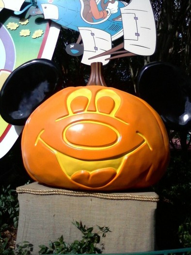 It\'s FALL says Mickey!