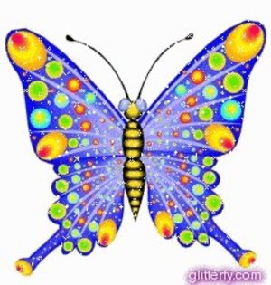 ^_^ BuTTerfliesSs ^_^