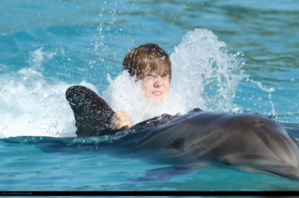 16179004_XTYKHFOHM - Justin Bieber in water with dolphin