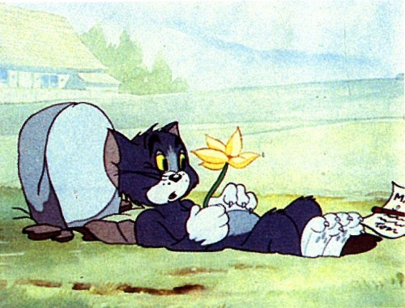 Tom si Jerry - Tom si Jerry