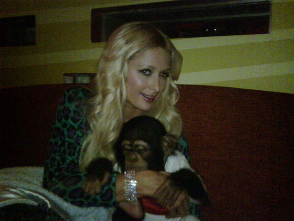 Bentley the Chimpanzee and Me at Carnival. Soo cute