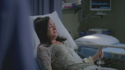 Grey\'s anatomy (2)