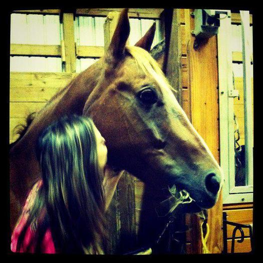 yaay! missed my horses so much. :) - 0-Neww