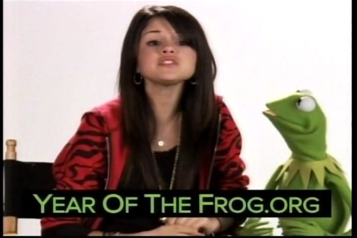 Year of the Frog Promo (12)