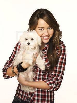photo20 - Miley