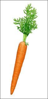 images (2) - carrot