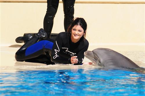 2012 5 15 2012 Dolphin Trainer For A Day 56