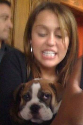 11084683_ELBOKSOYK - All pics with Miley