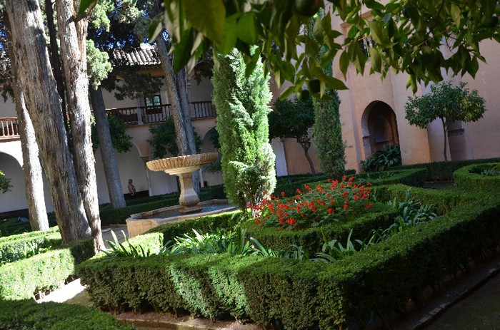 DSC_3383 - Alhambra -Granada