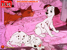 poze-poze-cu-101-dalmatieni-01-1[1]