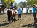 Horse Show19