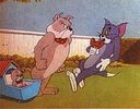 Tom si Jerry