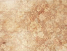 free_high_res_texture_152