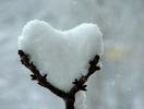 <=> Snow Heart <=>