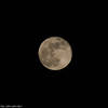 2009.01.11 - The Moon - IMG_3413