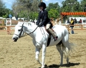 2010 Horse Show (1)