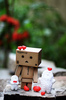 Danbo so sweet