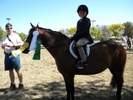 Horse Show105