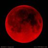 blood_moon (2)