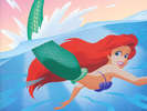 The-Little-Mermaid-the-little-mermaid-11423563-800-600