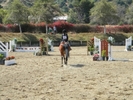 Horse Show99