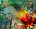 LadyGagaamorwallpaper