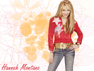 smileymiley-hannah-montana-4679625-1024-768