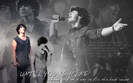 Joe-Wallpaper-joe-jonas-8203229-1280-800[1]