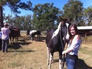 Me and Tyler caught wild horses!