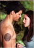 taylor_lautner_1254728815