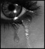 tears[1]