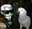 Hank Loves Karl Lagerfeld