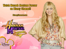 Hannah Montana Forever (183)