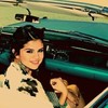 Sel (10)