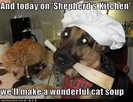 funny-dog-pictures-shepherds-kitchen