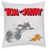 Tom si Jerry