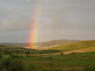 Amazing & beautiful. On our way through the concert, we stopped to take a pic of this wonderful rain