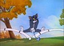 Tom si Jerry