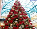 alberi_di_natale_23