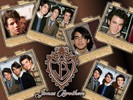 Jonas-Brothers-the-jonas-brothers-2977639-1024-768