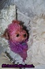 `Purplee Puppyy (2)