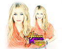 Hannah Montana Forever (68)